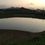 ポイント開拓 野池