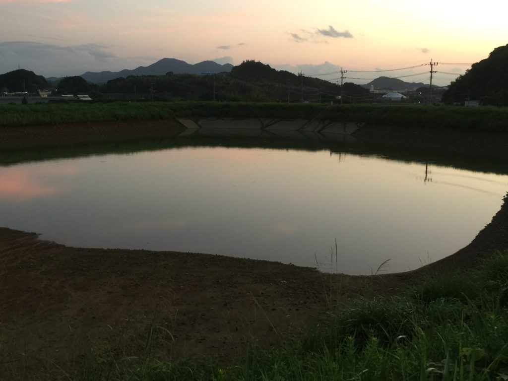 ポイント開拓　野池