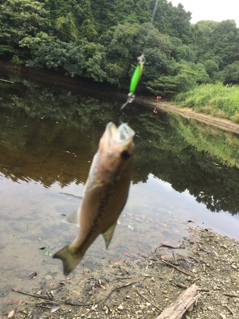 スプーンでブラックバス