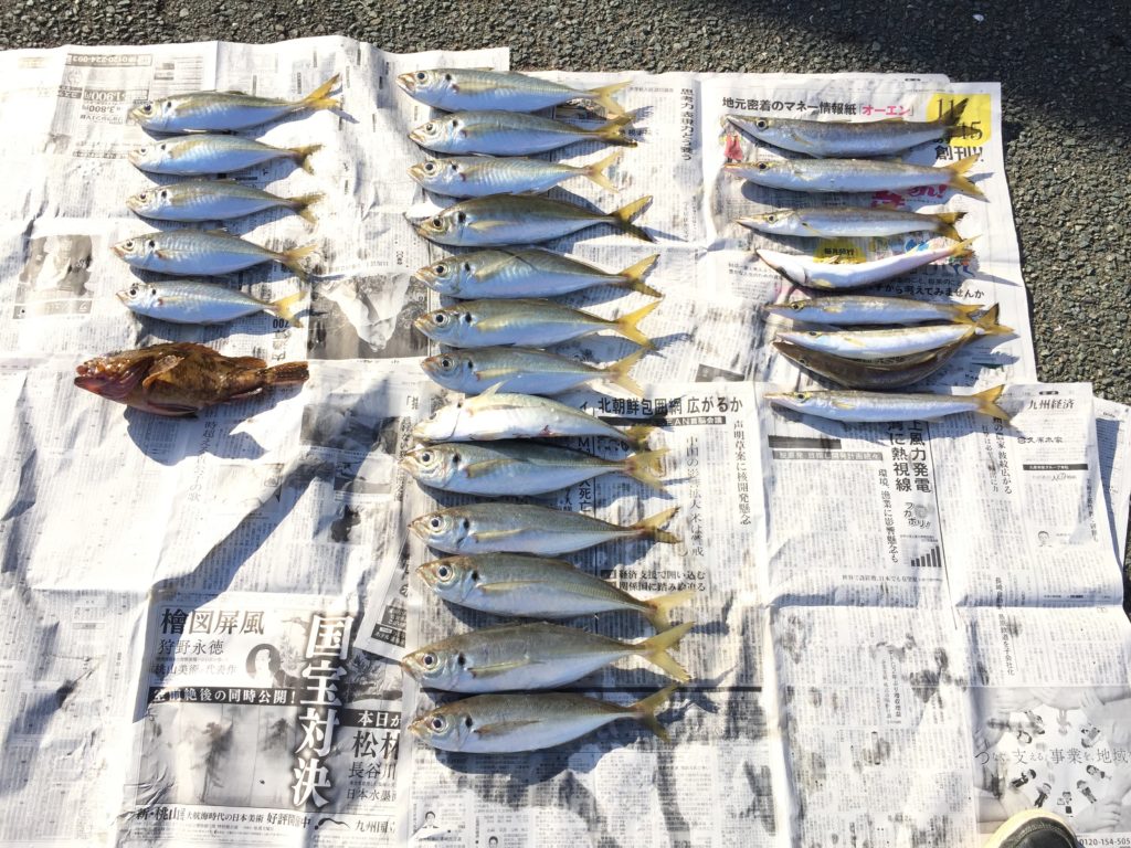 3人の釣果　アジほかいろいろ